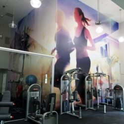wwgym (12)