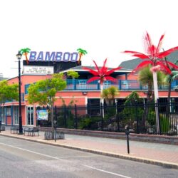 Bamboo 2